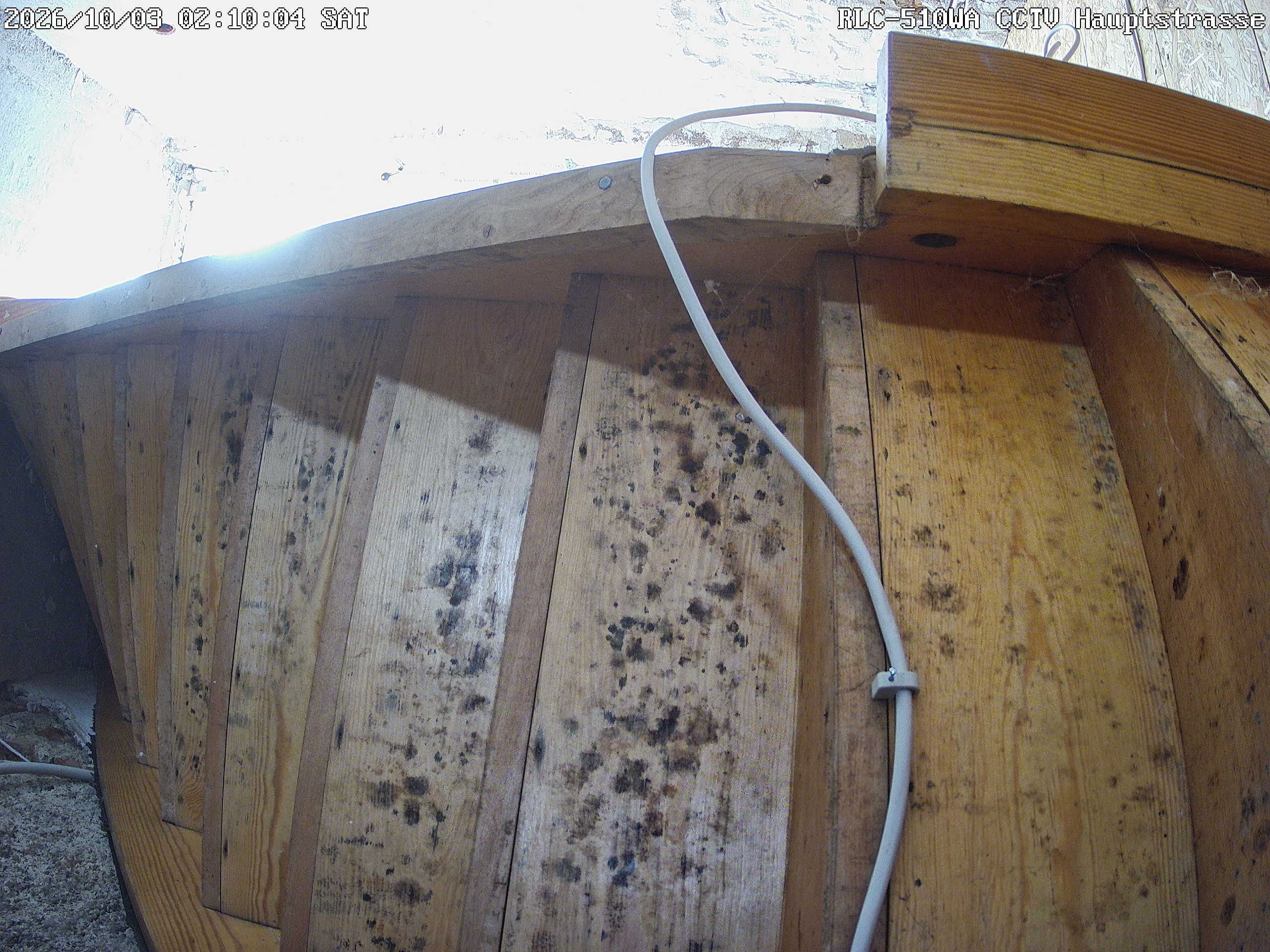 RLC-510WA CCTV Hauptstrasse_00_20261003021004.jpg